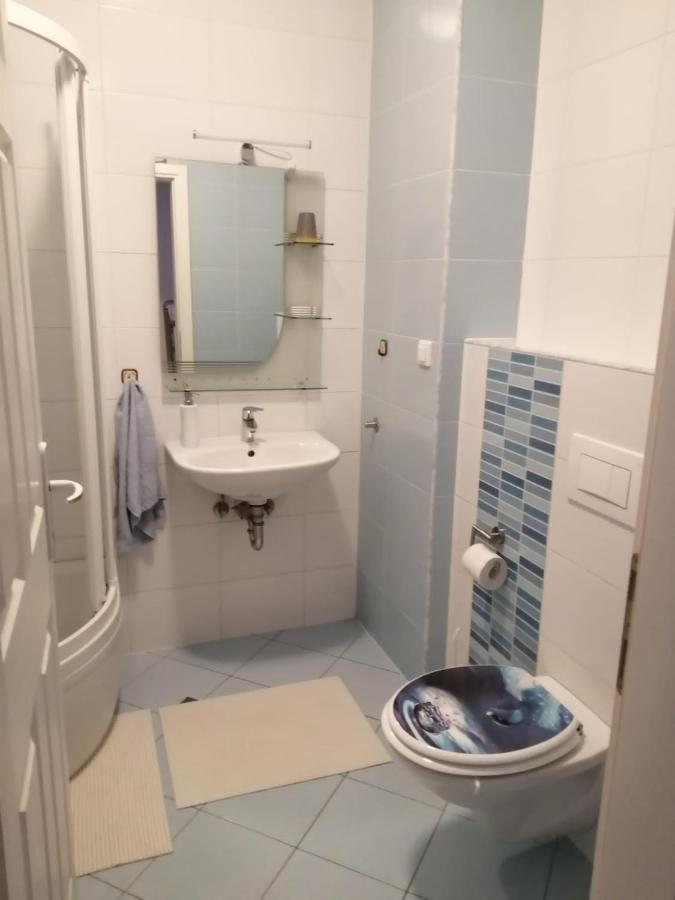 Dora Apartment Krapinske Toplice Bagian luar foto